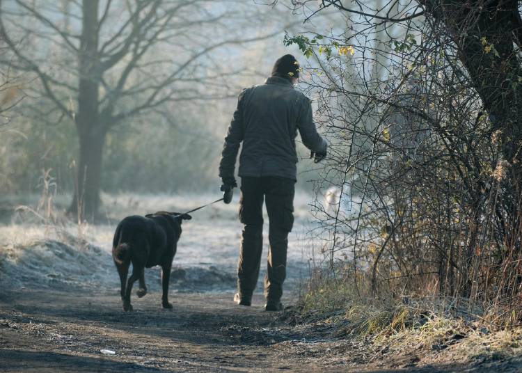 Nutrition and Lifestyle Tips to Beat the Winter Blues