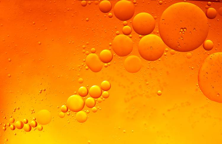Les Vitamines Liposolubles