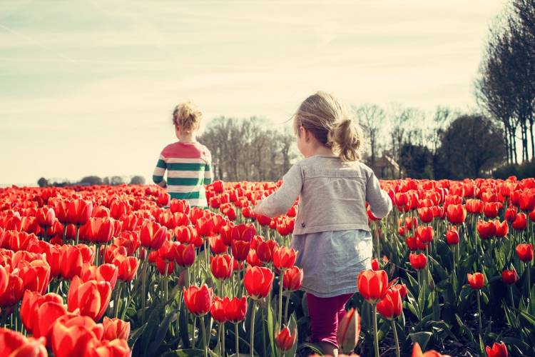 Comment préparer l’arrivée du printemps ?