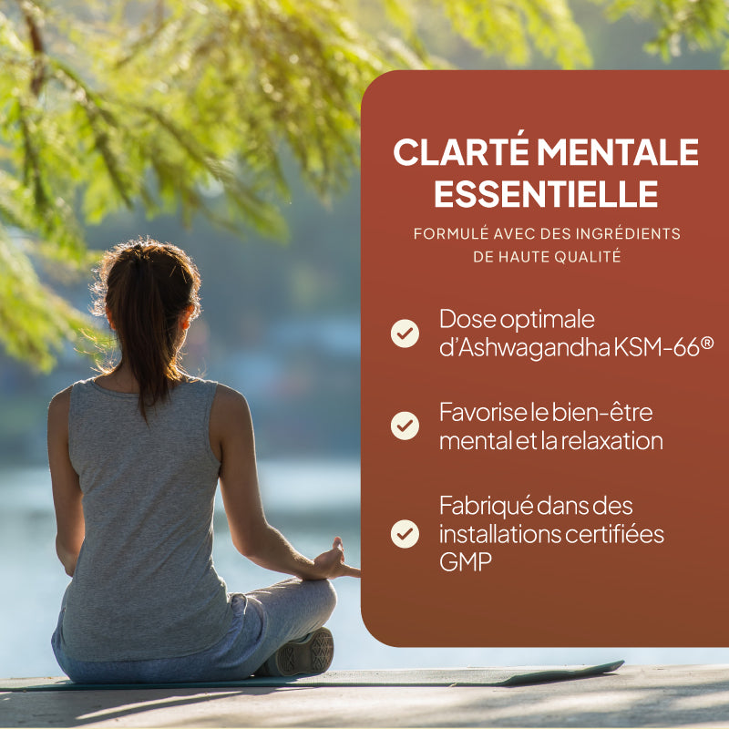 Une femme est assise en tailleur sur un quai au bord de l'eau, de dos à la caméra. À sa droite, on aperçoit un grand panneau de couleur rouille sur lequel on peut lire « CLARTÉ MENTALE ESSENTIELLE » ainsi que des puces en français. La scène est baignée d'une lumière douce, avec du feuillage vert en arrière-plan.