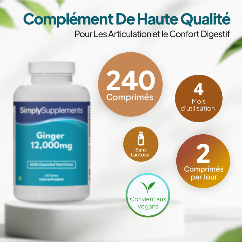 Comprimés de gingembre de haute qualité, 12 000 mg, boîte de 240 comprimés