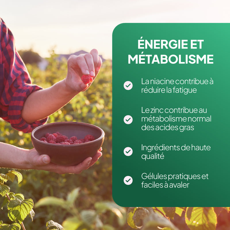 Une illustration promotionnelle comportant, à droite, un encadré vert sur lequel on peut lire « ÉNERGIE ET ÉTALOISME » ainsi que des puces en français, et, à gauche, une photo d'ambiance montrant une personne tenant un bol de framboises dans un jardin.