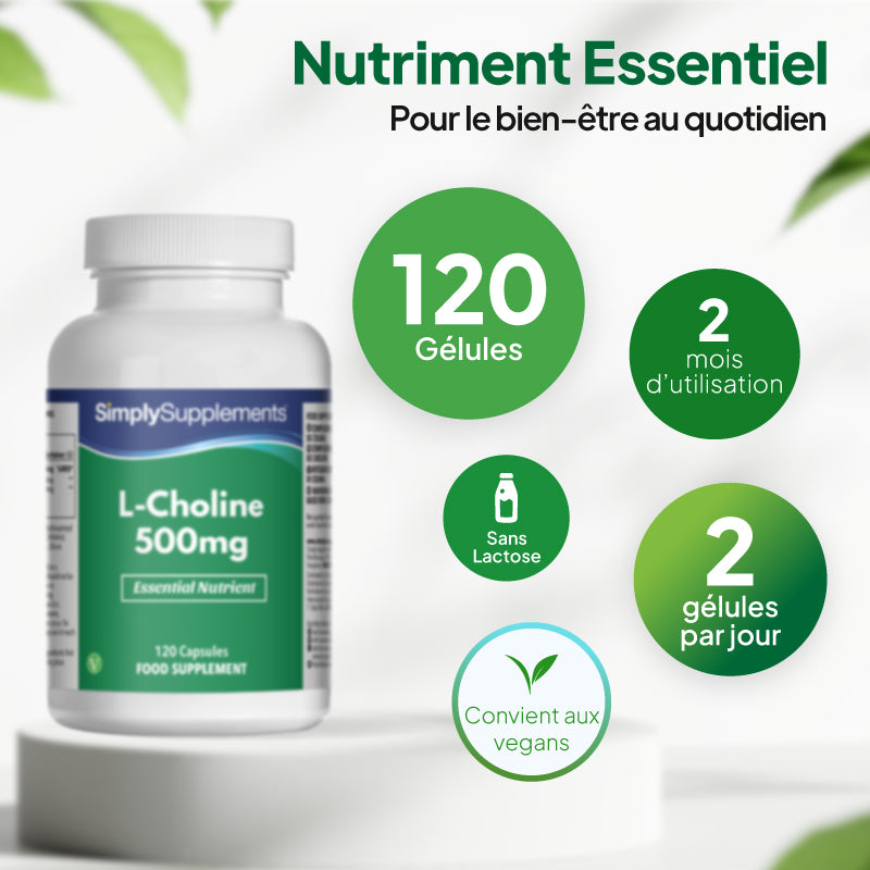 Complément alimentaire « Simply Supplements L-Choline 500 mg » : 120 gélules, cure de 2 mois, 2 gélules par jour, sans lactose et adapté aux végétaliens.
