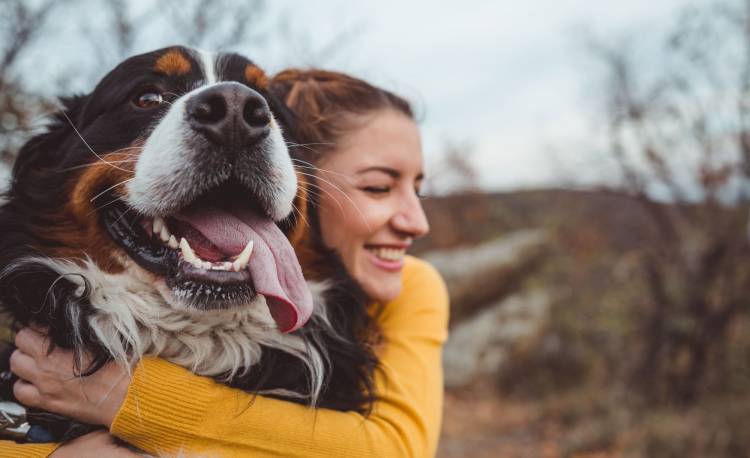 Le Curcuma Pour les Chiens