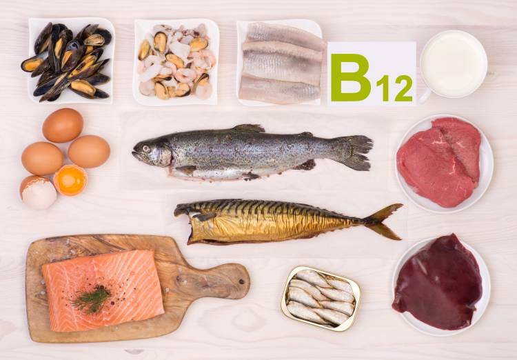 Quels sont les bienfaits de la vitamine B12 ?