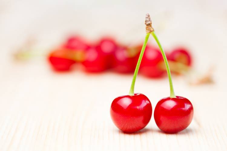 Cerises de Montmorency : propriétés et bienfaits 