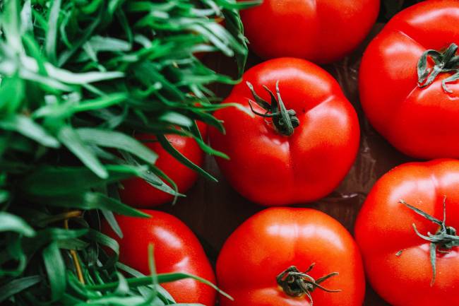 Tout savoir sur la tomate