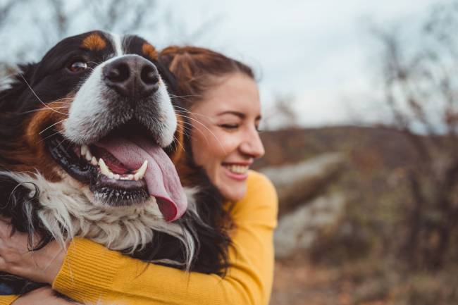 Le Curcuma Pour les Chiens