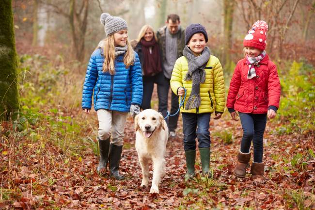 Améliorer l’Immunité des Enfants