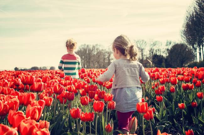 Comment préparer l’arrivée du printemps ? 